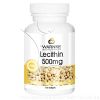 LECITHIN 500 mg Kapseln - 100Stk
