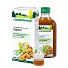 INGWER PFLANZENTRUNK Schoenenberger - 200ml - Magen, Darm & Leber