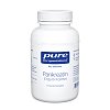 PURE ENCAPSULATIONS Pankreatin Enzym Formel Kaps. - 180Stk