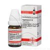 HYPERICUM D 12 Globuli - 10g - F - H