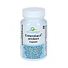 ENTEROBACT-protect Kapseln - 60Stk