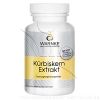 KÜRBISKERN EXTRAKT Kapseln - 100Stk