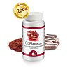 GRANAPROSTAN ferment Dr.Jacob\'s Kapseln - 100Stk - Abwehrkräfte