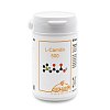 L-CARNITIN 500 mg Kapseln - 60Stk