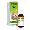 REVET H 6 Globuli f.Heimtiere - 10g