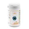 LUTEIN KAPSELN 6 mg - 60Stk