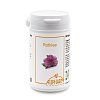 ROTKLEE ISOFLAVONE 500 mg Kapseln - 60Stk
