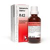 AESCUMELIS-Gastreu R42 Mischung - 50ml
