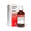 ARSETABILIS-Gastreu R43 Mischung - 50ml