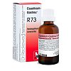 CAUSTICUM-GASTREU R73 Tropfen zum Einnehmen - 22ml