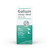 GALIUM COMP.-Heel ad us.vet.Tropfen - 30ml - Homöopathie