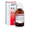 HAEMORRHOID-Gastreu N R13 Mischung - 22ml - Hämorrhoiden