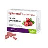 CYSTORENAL Cranberry plus Kapseln - 60Stk - Blasenentzündung