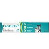 CANIKUR Pro Paste vet. - 30ml - Futter & Leckerlis