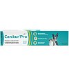 CANIKUR Pro Paste vet. - 15ml - Futter & Leckerlis