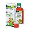 KAKTUSFEIGE Saft Bio Schoenenberger - 200ml