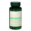 MARIENDISTEL 500 mg Bios Kapseln - 100Stk