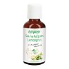 SAUNA AUFGUSS Konzentrat Lemongras - 50ml - Sauna Aufguss