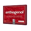 ANTHOGENOL Masquelier OPC Kapseln - 30Stk