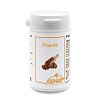 PROPOLIS+VITAMINE Kapseln - 60Stk