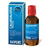 CALMVALERA Hevert Tropfen - 100ml - Stress & Burnout