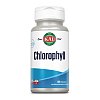 CHLOROPHYLL KAL Tabletten - 100Stk