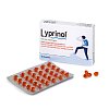 LYPRINOL Kapseln - 60Stk - Arthrose & Rheuma