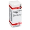 HAPLOPAPPUS D 6 Globuli - 10g