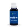BITTERSTERN Mixtur - 50ml - Verdauungsförderung