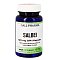 SALBEI 120 mg GPH Kapseln - 60Stk