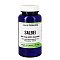 SALBEI 120 mg GPH Kapseln - 90Stk