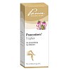 PASCODEM Tropfen - 50ml