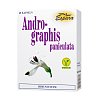 ANDROGRAPHIS PANICULATA Kapseln - 60Stk
