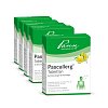 PASCALLERG Tabletten - 500Stk