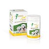 SYMBIOPET dog Ergänzungsfutterm.Pulver f.Hunde - 175g - Hunde