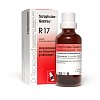 SCROPHULAE-Gastreu R17 Mischung - 50ml