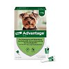 ADVANTAGE 40 Lösung f.Hunde bis 4 kg - 4Stk - advantage