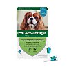 ADVANTAGE 100 Lösung f.Hunde 4-10 kg - 4Stk - advantage