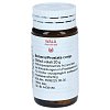 BERBERIS/PROSTATA comp.Globuli - 20g