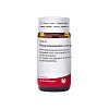 RHUS TOXICODENDRON COMP Globuli - 20g
