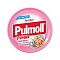 PULMOLL Junior Himbeere m.Echinacea+Vit.C zf Bon. - 50g