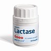 LACTASE 6.000 FCC Kapseln - 60Stk