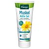 KNEIPP Muskel Aktiv Gel - 200ml - Muskeln, Gelenke & Rücken