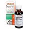 PELARGONIUM-RATIOPHARM Bronchialtropfen - 50ml - Pflanzliche Hustenmittel