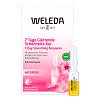 WELEDA Wildrose 7 Tage glättende Schönheits-Kur - 7X0.8ml - Beauty