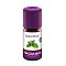 SPEARMINT ÖL Bio - 5ml