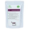 ORGANICVET Katze Pouch Rekonvaleszenz - 85g