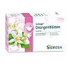 SIDROGA Orangenblütentee Filterbeutel - 20X1.2g - Unruhe & Schlafstörungen