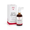 ECHINACEA MUND- und Rachenspray - 50ml