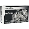 PLANTOCAPS COITOSAN Kapseln - 60Stk - Potenzstörung